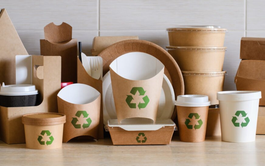 Earth-Friendly Packaging: Innovation and Solutions for a Sustainable Tomorrow