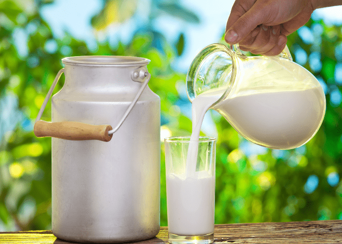 WellHealthOrganic Home Remedies Using Buffalo Milk Tag