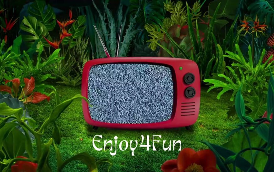 Exploring Enjoy4Fun: Your Ultimate Entertainment Destination