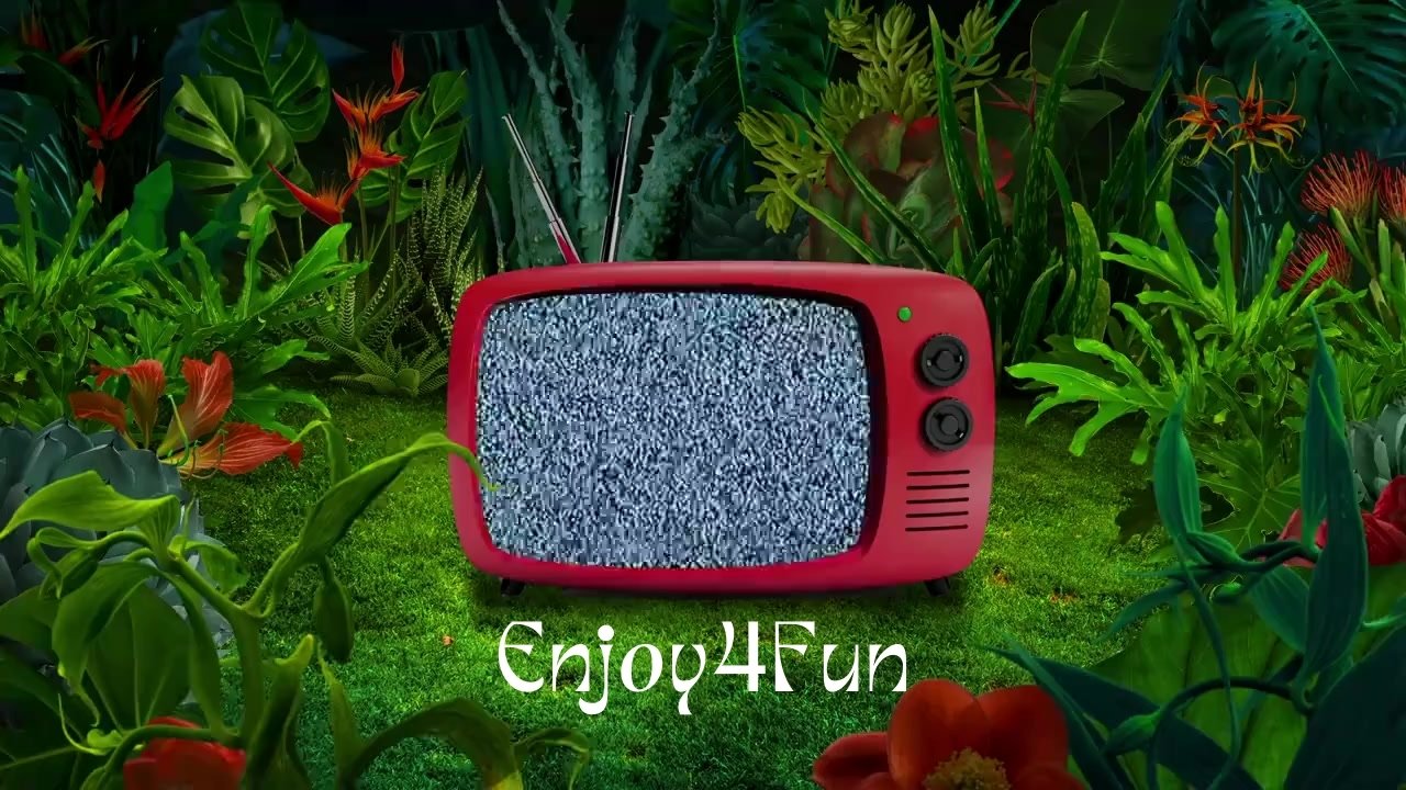 Exploring Enjoy4Fun: Your Ultimate Entertainment Destination