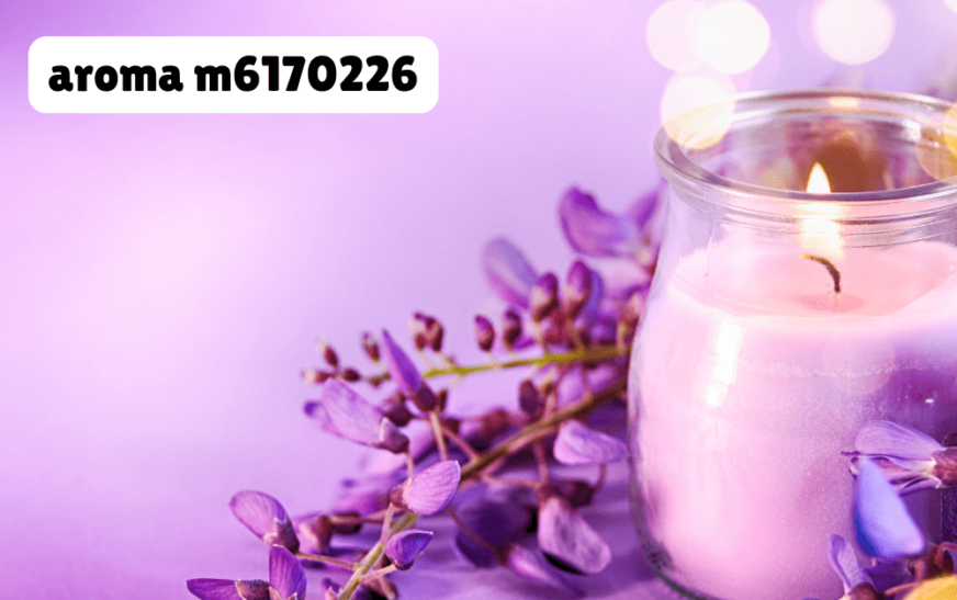 The Comprehensive Guide to Aroma M6170226: A Fragrance to Remember