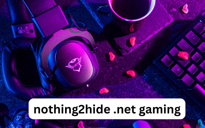 Nothing2Hide .net Gaming: Your Gateway to Secure Online Gaming