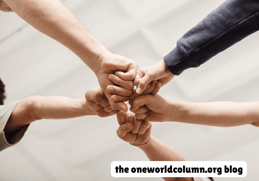 The oneworldcolumn.org blog: Exploring the Values and Content